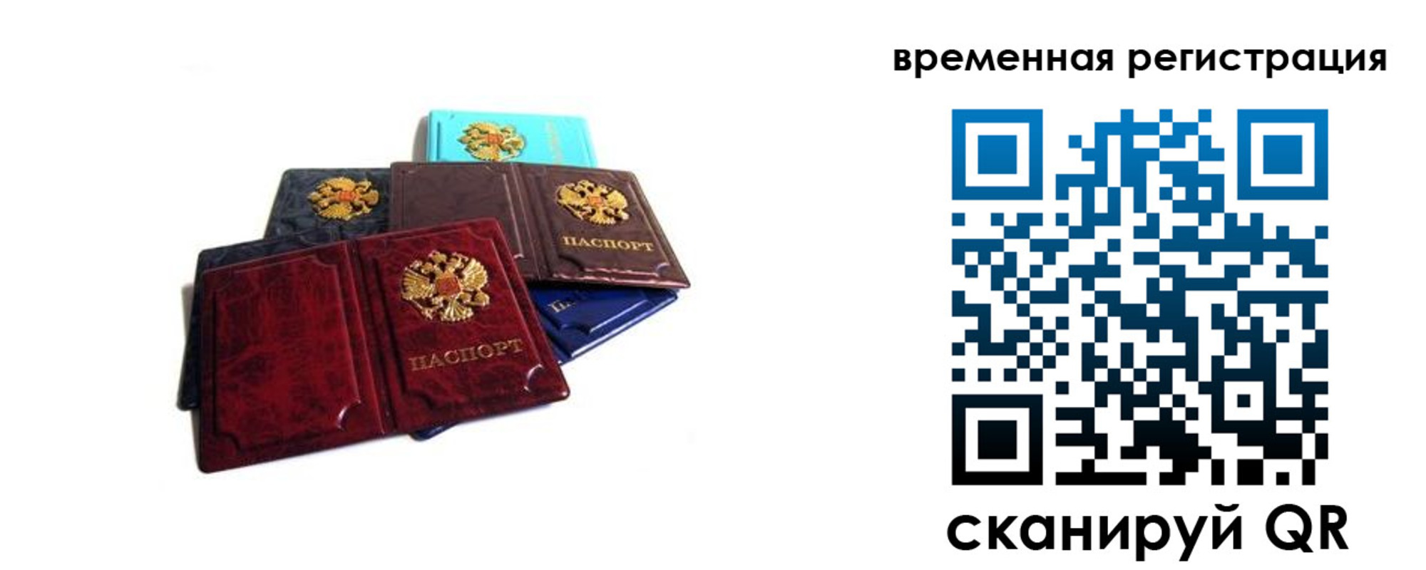 прописка гарантия в Мурманской области